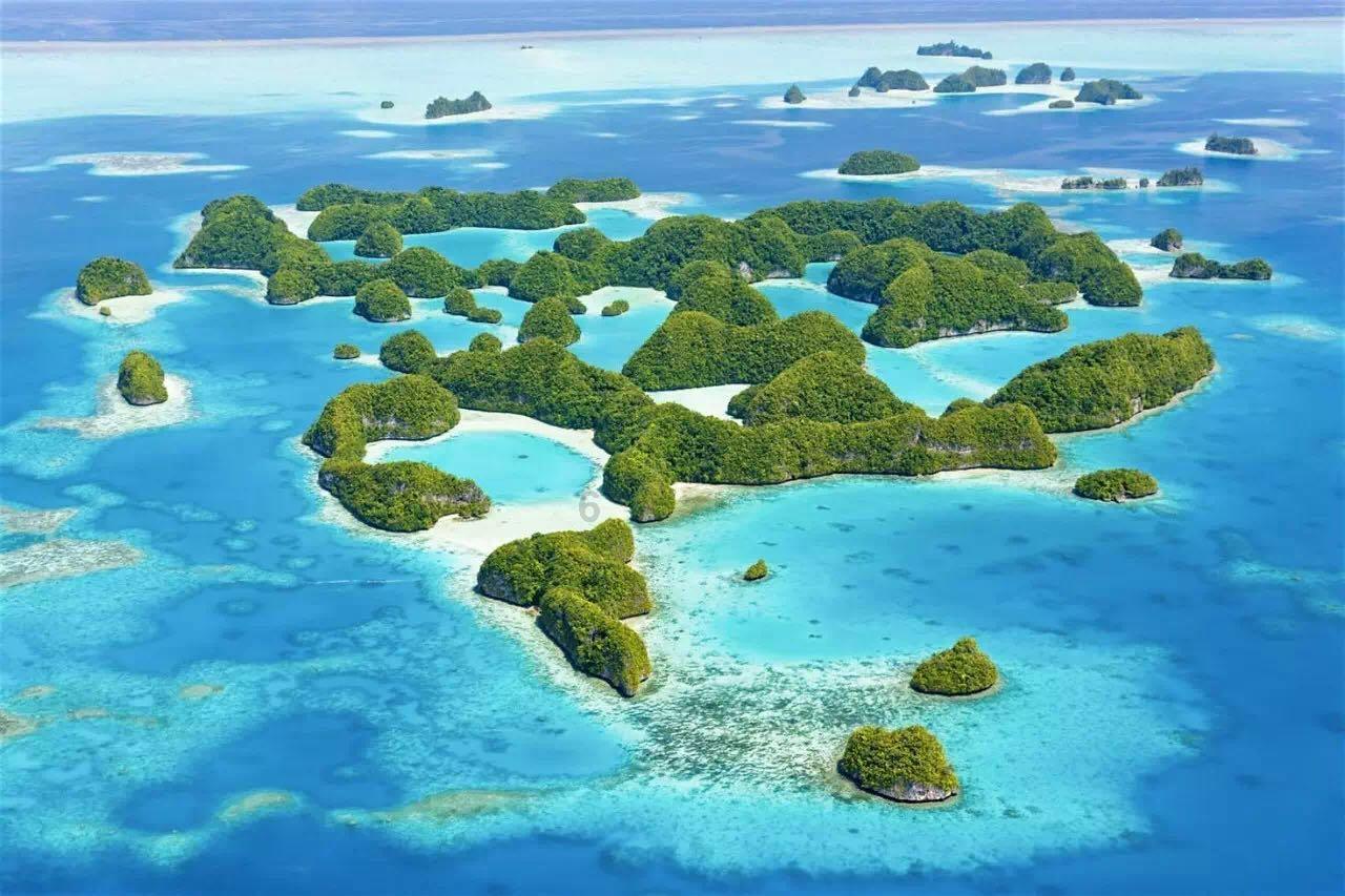沪江开心词场